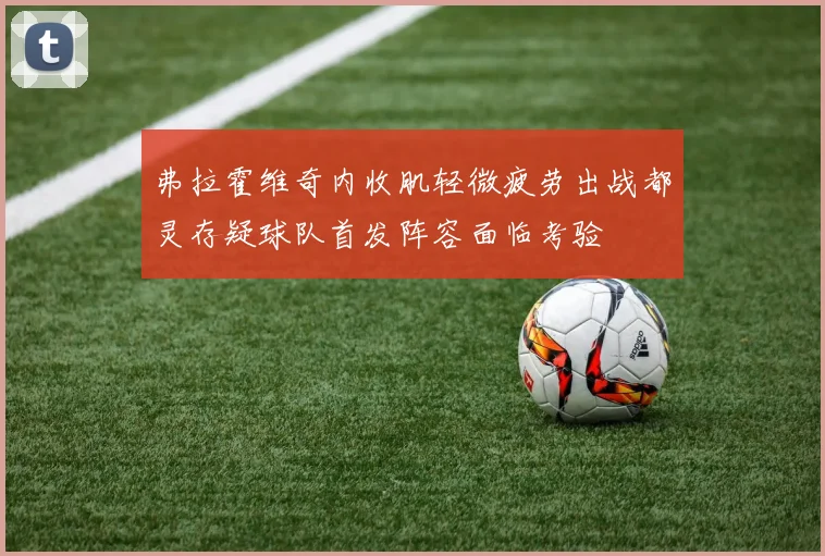 弗拉霍维奇内收肌轻微疲劳出战都灵存疑球队首发阵容面临考验