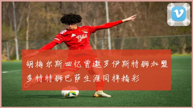 胡梅尔斯回忆曾邀罗伊斯特狮加盟多特特狮巴萨生涯同样精彩